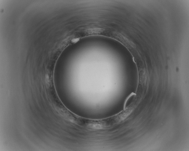 X0000080710655200612151135