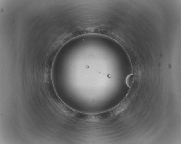 X0000080710656200612151135