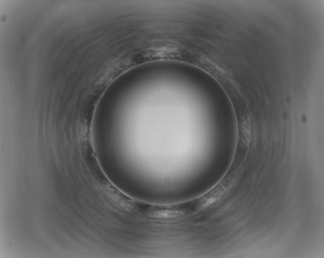 X0000080710657200612151135