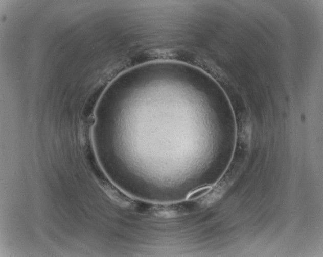 X0000080710658200612151135