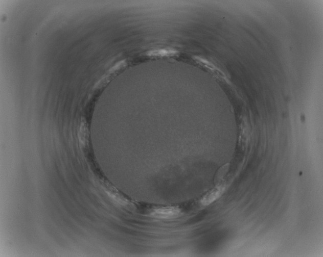 X0000080710659200612151135