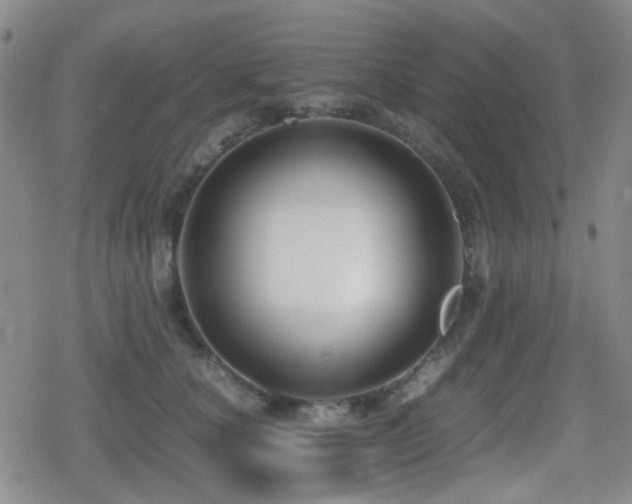 X0000080710660200612151135