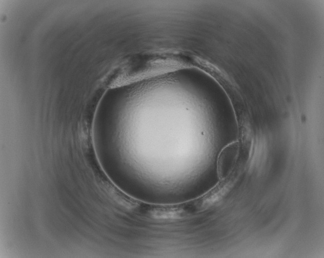 X0000080710661200612151135