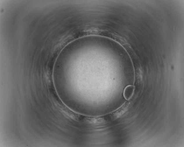 X0000080710663200612151135