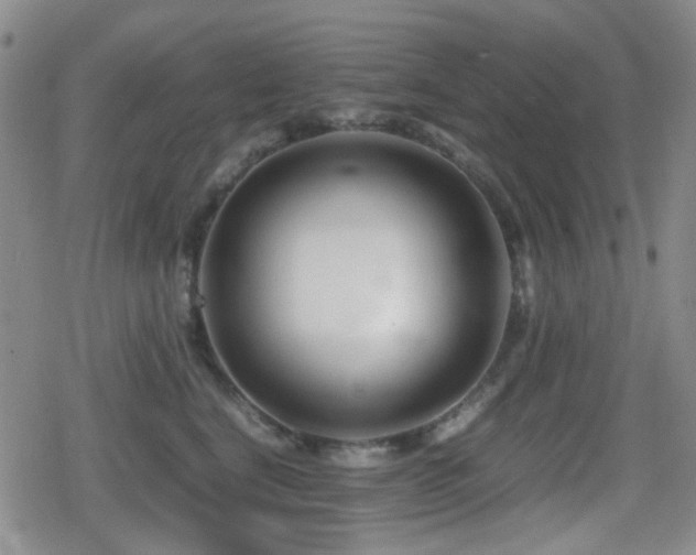 X0000080710664200612151135