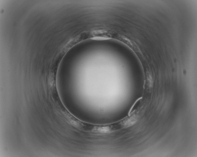 X0000080710665200612151135