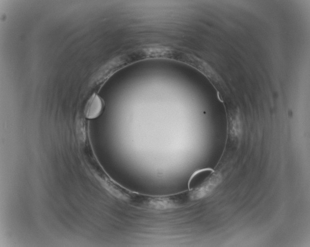 X0000080710666200612151135