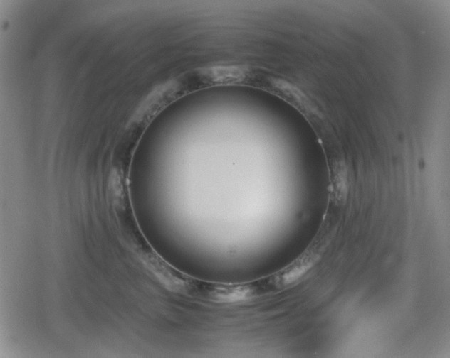 X0000080710667200612151135