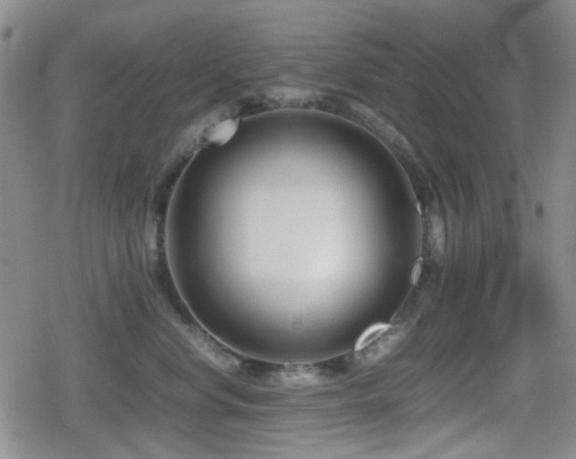 X0000080710668200612151135