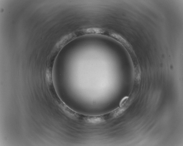 X0000080710669200612151135