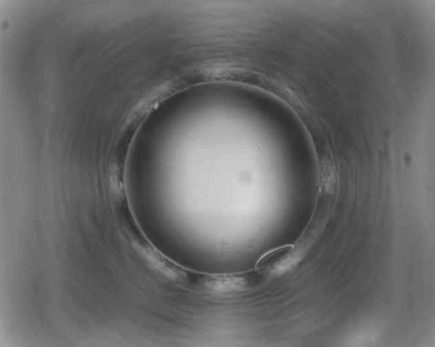 X0000080710670200612151135