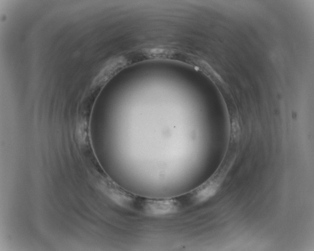 X0000080710671200612151135