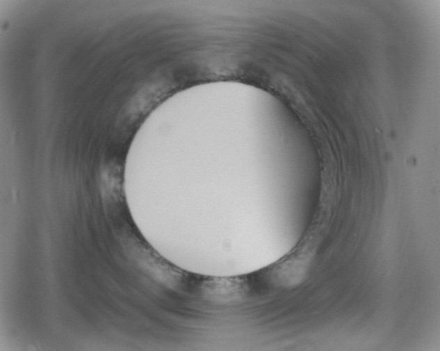 X0000080710672200612151135