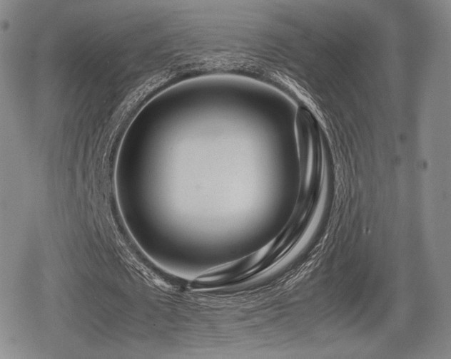 X0000080710673200612151134