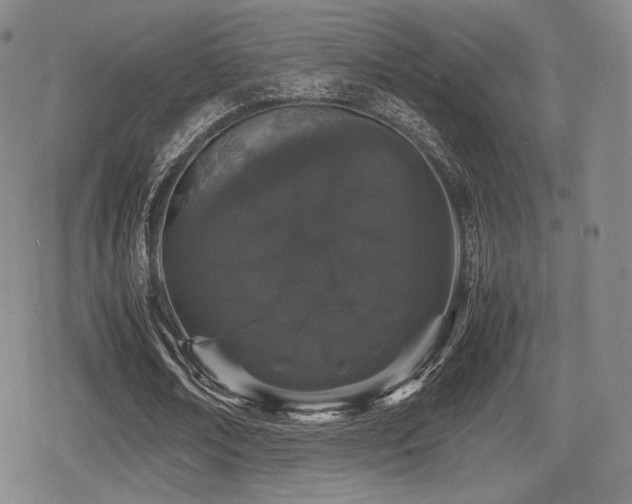 X0000080710674200612151134