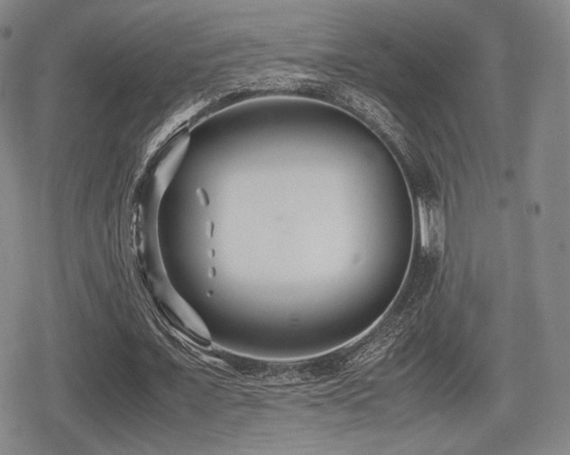 X0000080710675200612151134