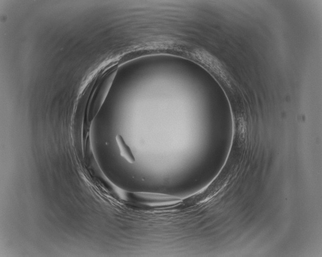 X0000080710676200612151134