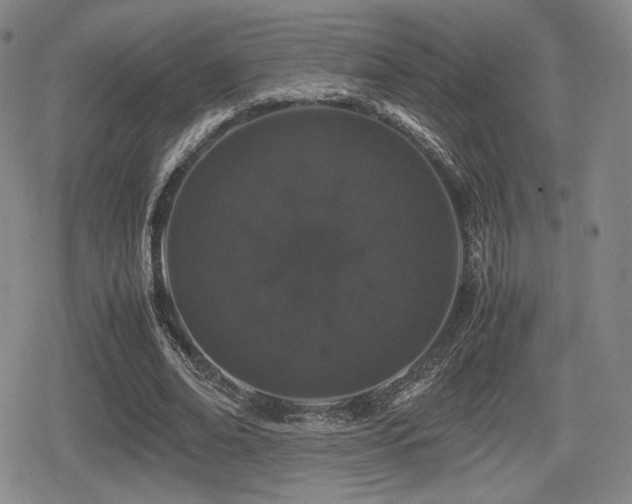 X0000080710678200612151134