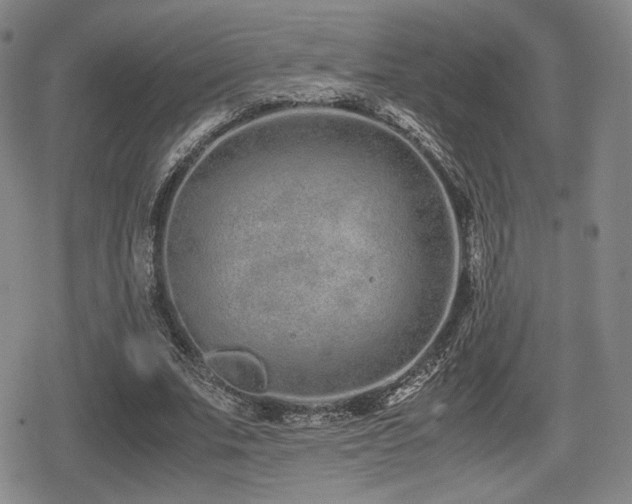 X0000080710679200612151134