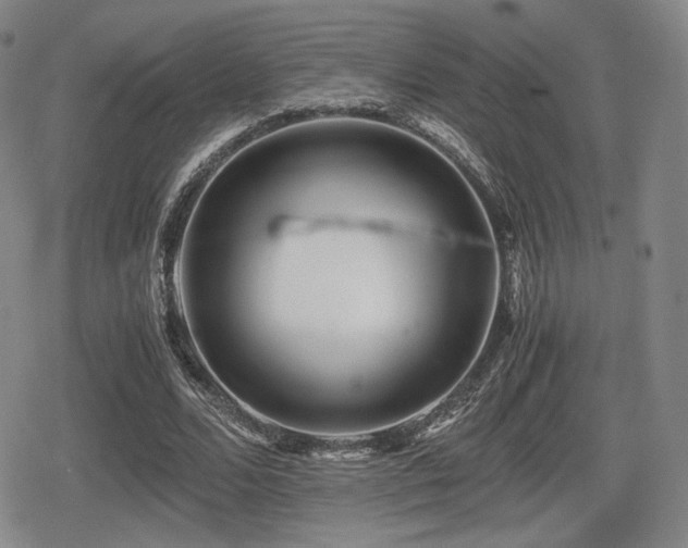 X0000080710680200612151134