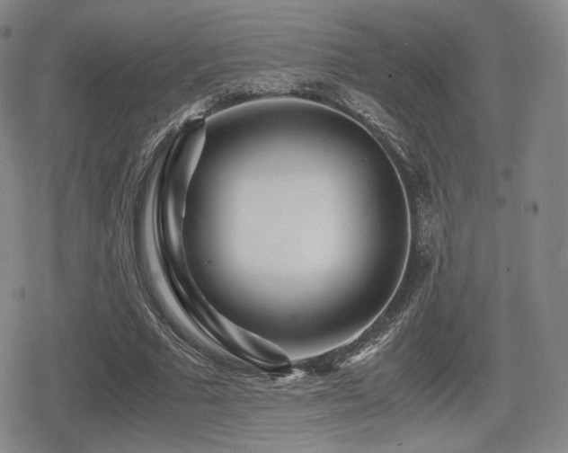 X0000080710681200612151134