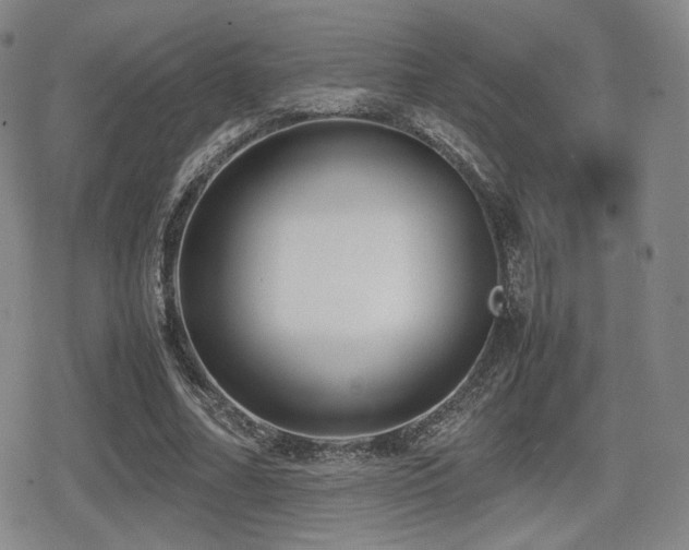 X0000080710682200612151134