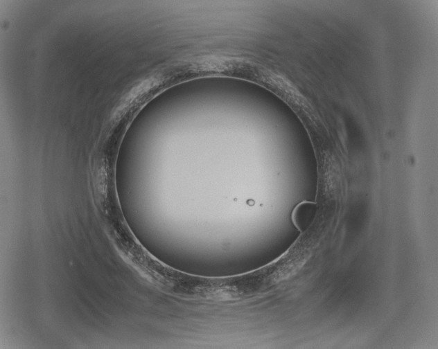 X0000080710683200612151134