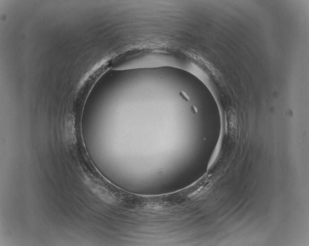 X0000080710684200612151134