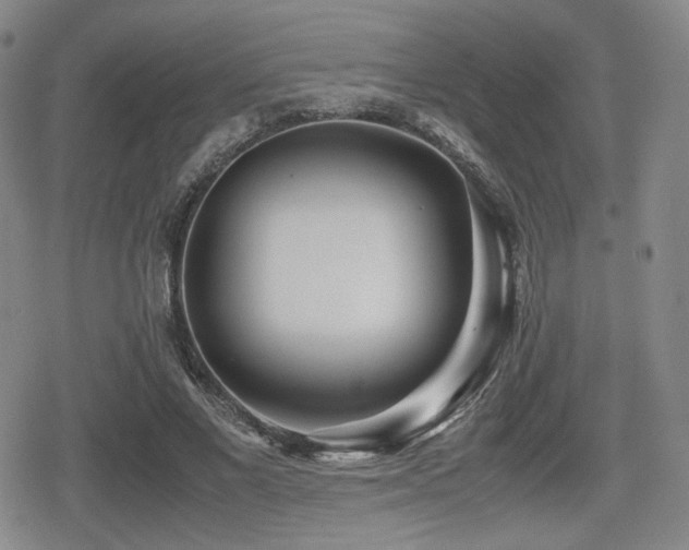 X0000080710685200612151134