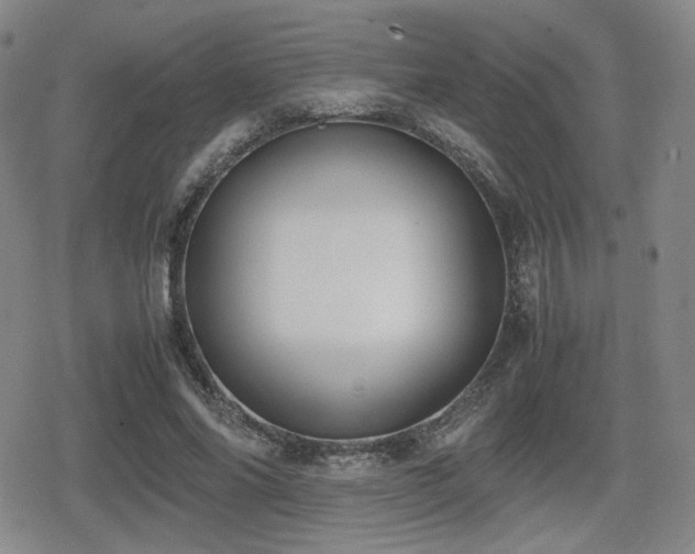 X0000080710686200612151134