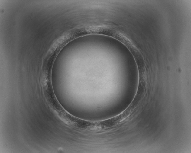 X0000080710687200612151134