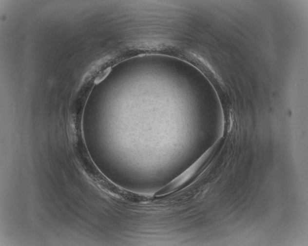 X0000080710688200612151134