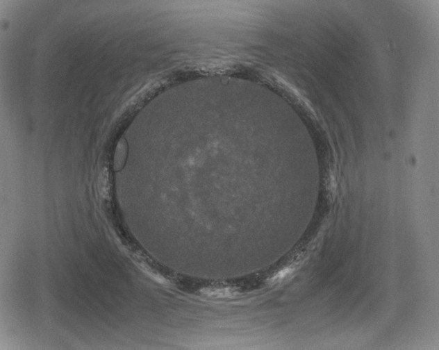 X0000080710689200612151134