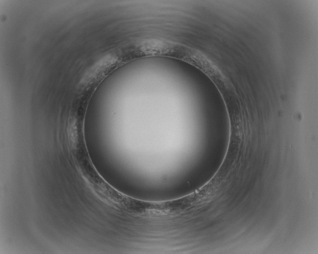 X0000080710690200612151134