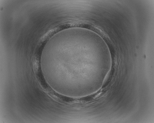 X0000080710691200612151134