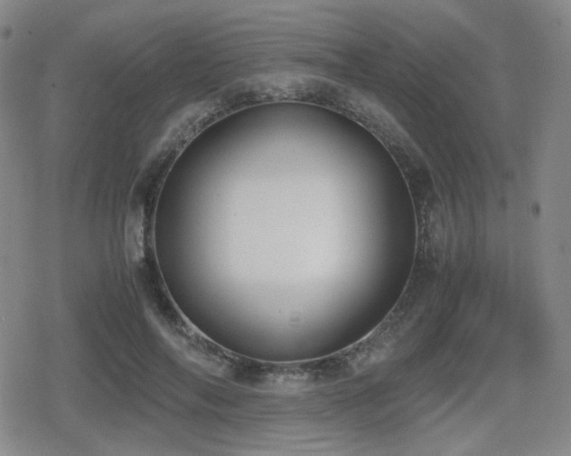 X0000080710694200612151134