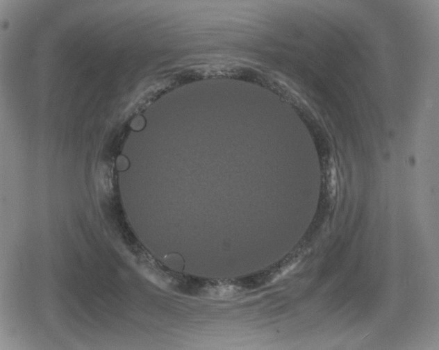 X0000080710695200612151134