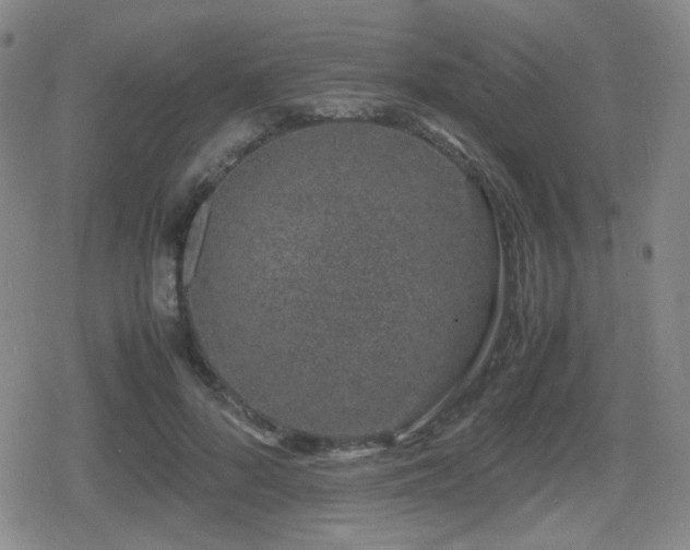 X0000080710696200612151134