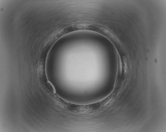 X0000080710697200612151134