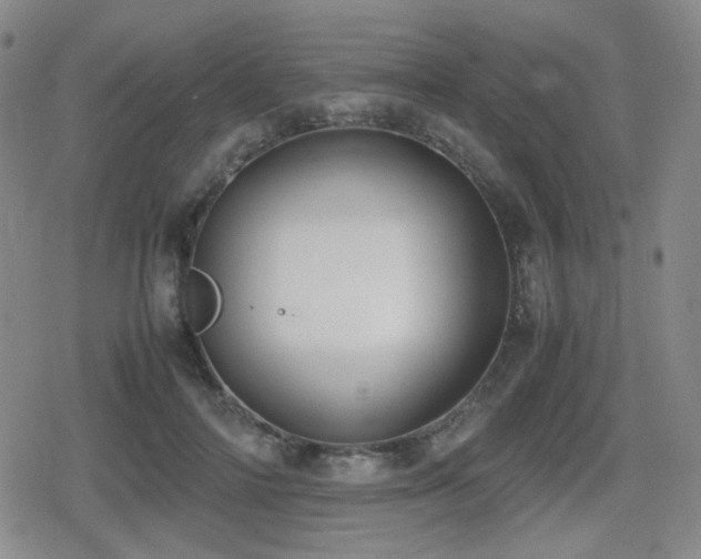 X0000080710698200612151134