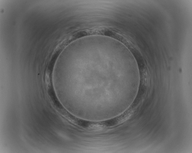 X0000080710699200612151134