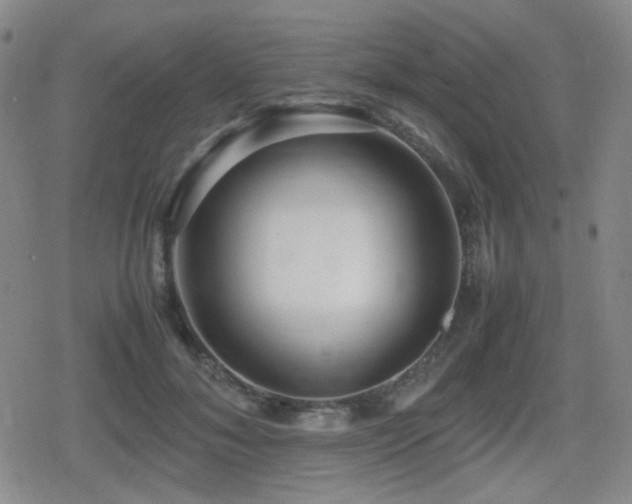 X0000080710700200612151134