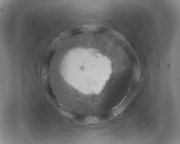 X0000080710701200612151134