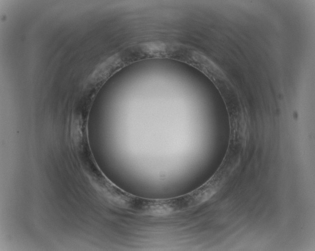 X0000080710702200612151134