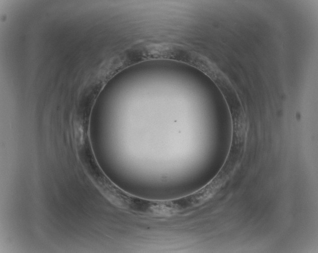 X0000080710703200612151134