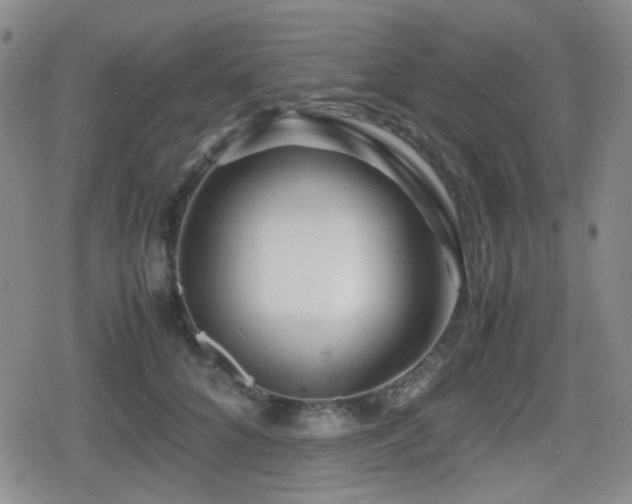 X0000080710704200612151134