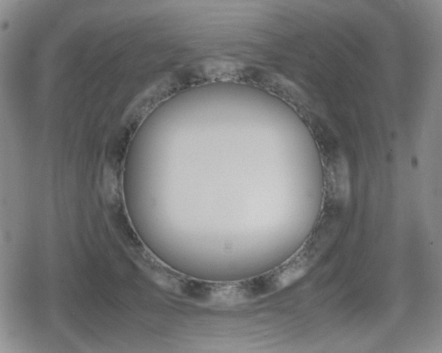 X0000080710705200612151134