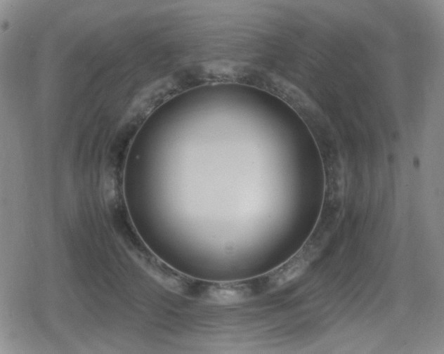 X0000080710706200612151134