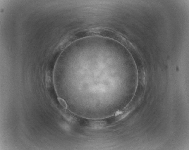 X0000080710707200612151134