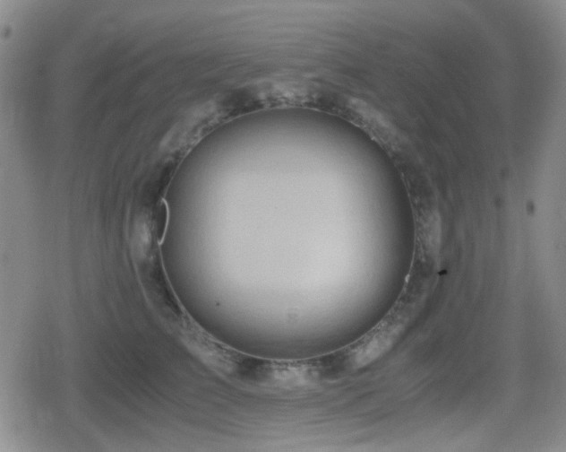 X0000080710709200612151134